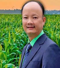 Hồng Phong